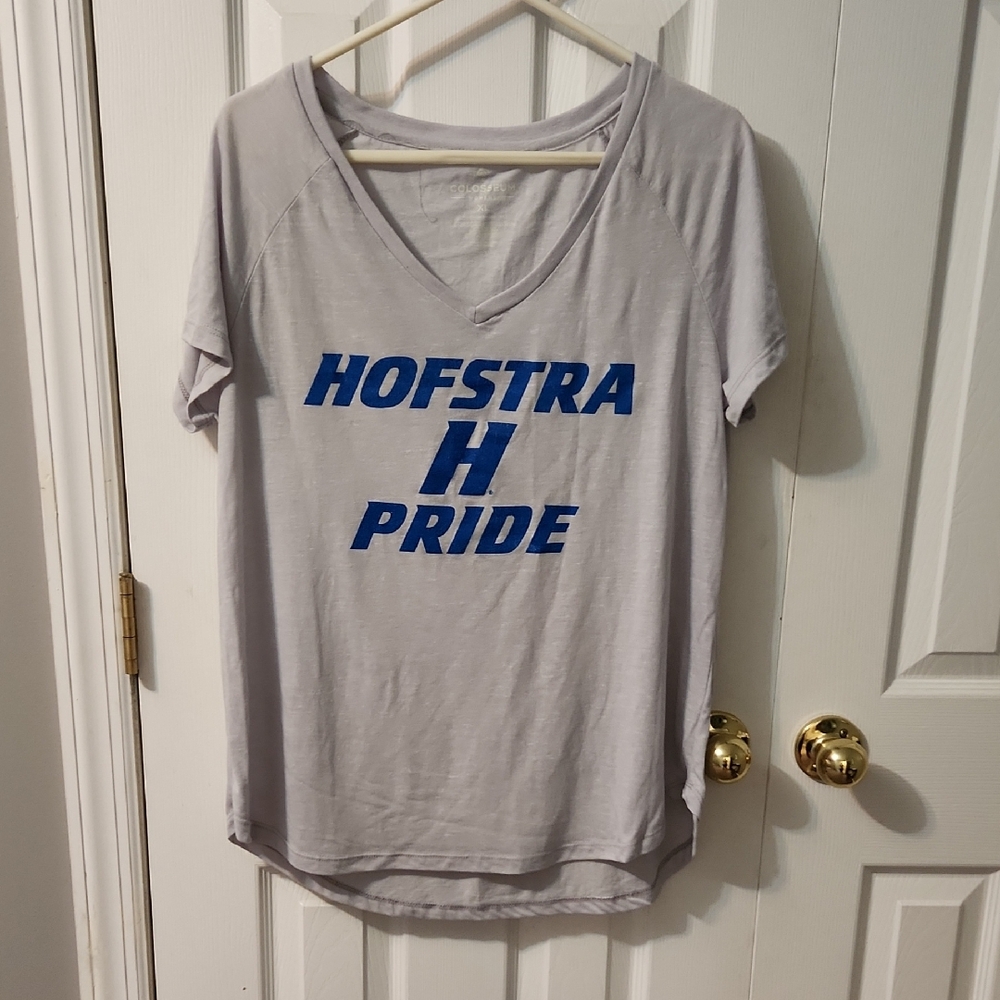 Hofstra T-shirt - Pride Gray V-Neck Womens T-Shirt